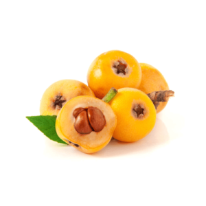 Loquat