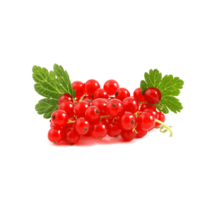 Redcurrant