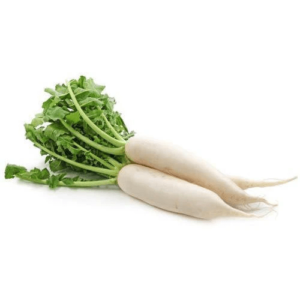 White Radish(Mulee)